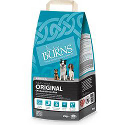 Picture of BURNS CANINE ORIGINAL CHICKEN